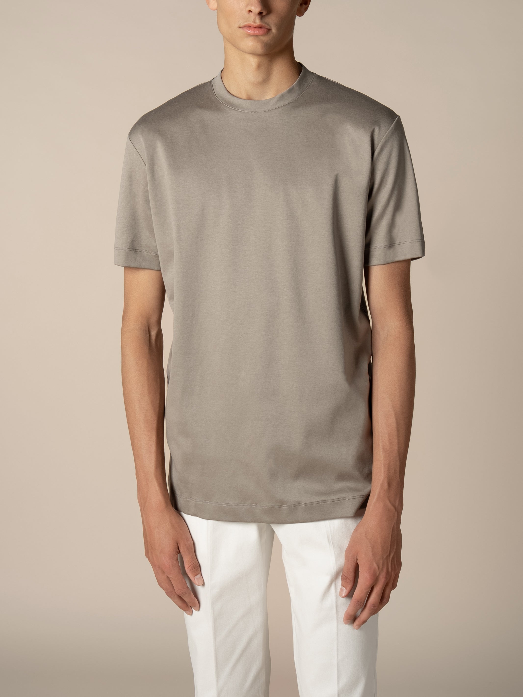 Aurélien | Taupe AUR1 T-Shirt